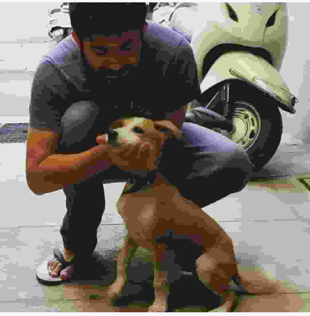 Praveen-Metri player image