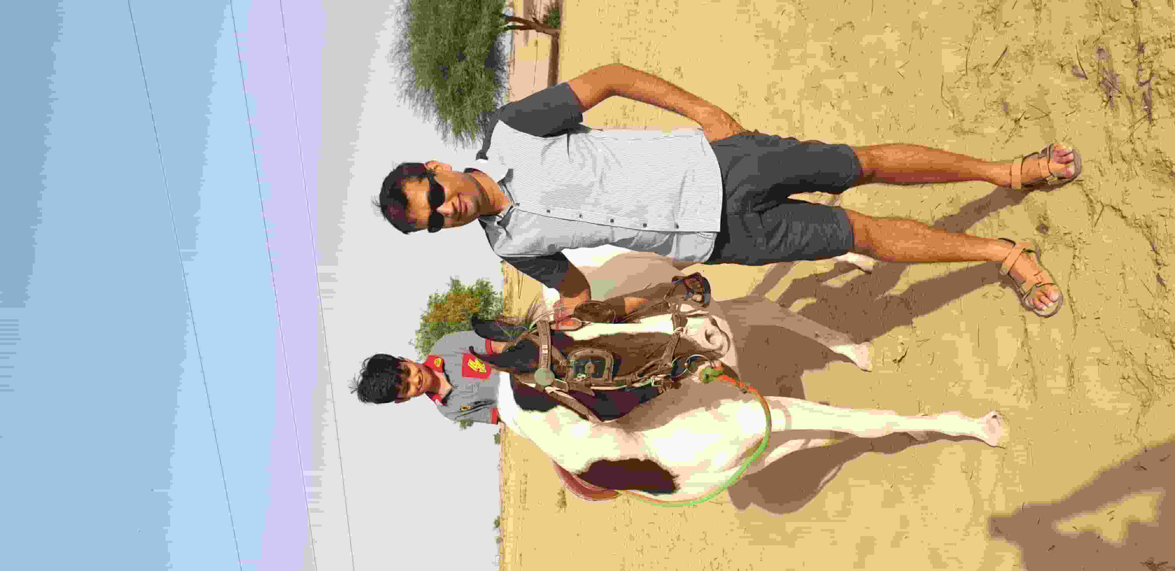 Sharad-Sharma player image