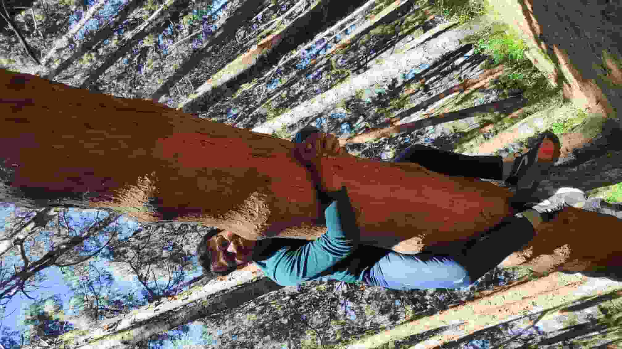 Yeshwanth- player image
