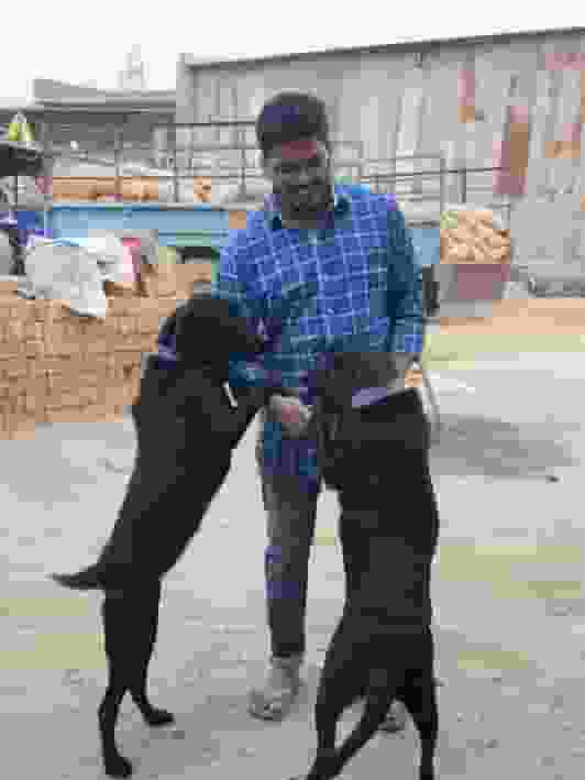 Kaushal-Agrawal player image