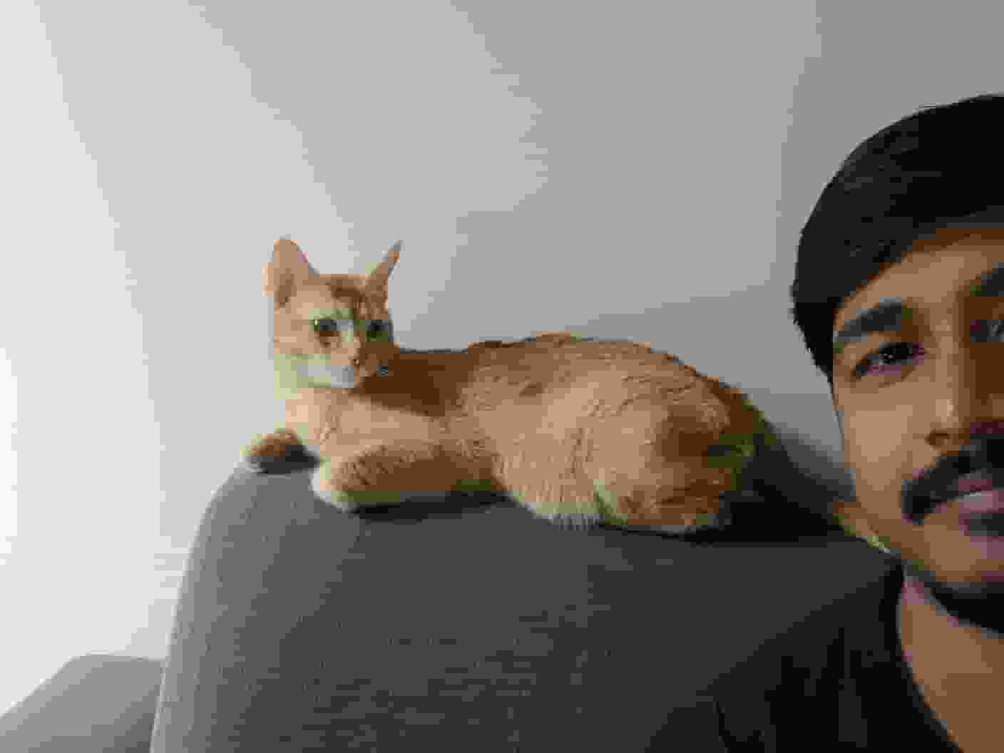 Priyajeet-Rout player image