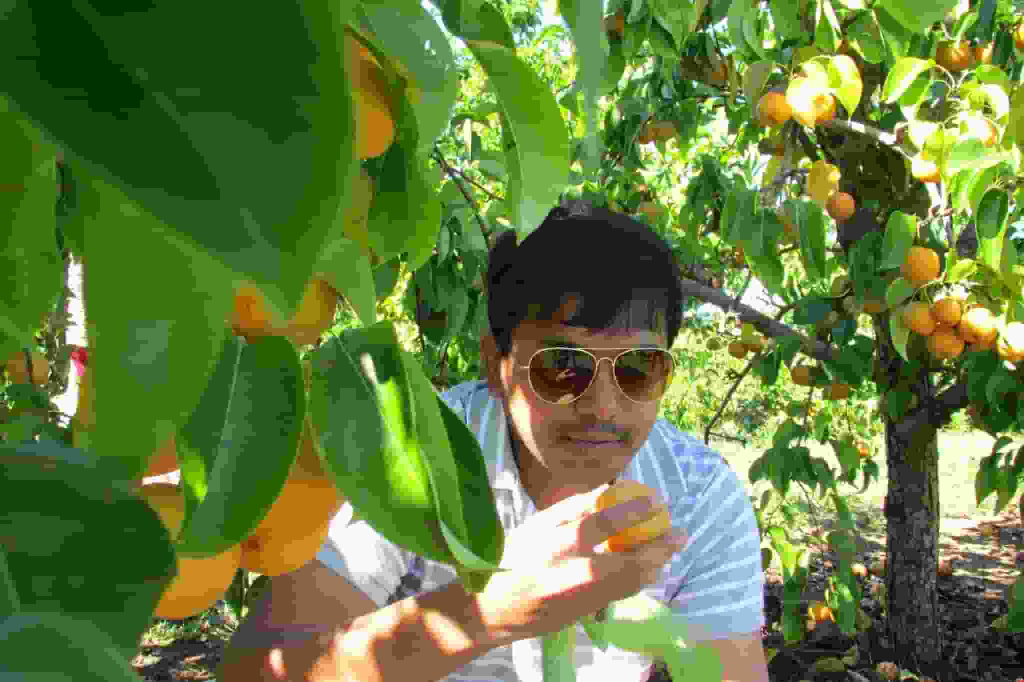 Pavan-Anne player image