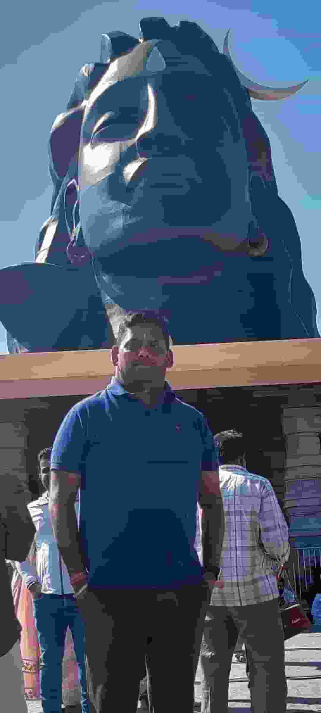 Amit-Singh player image
