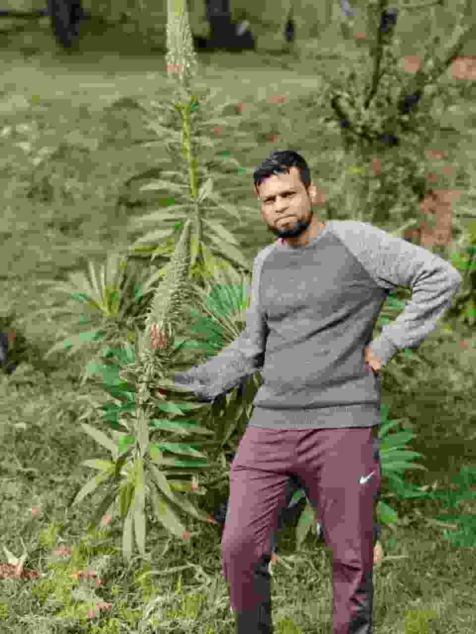 Asif-Ahmed player image