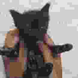 Mahibur-R player image