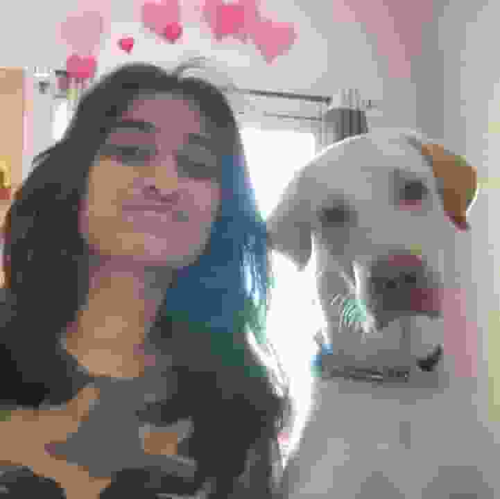 pragathi-ps player image