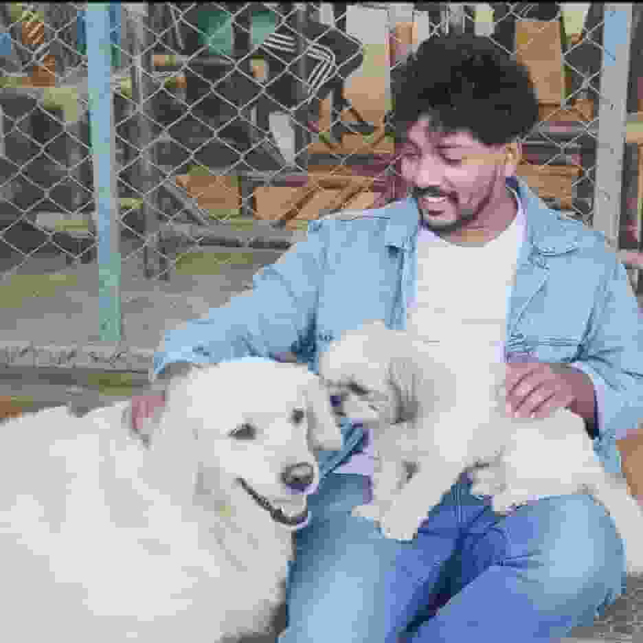 Parthan- player image