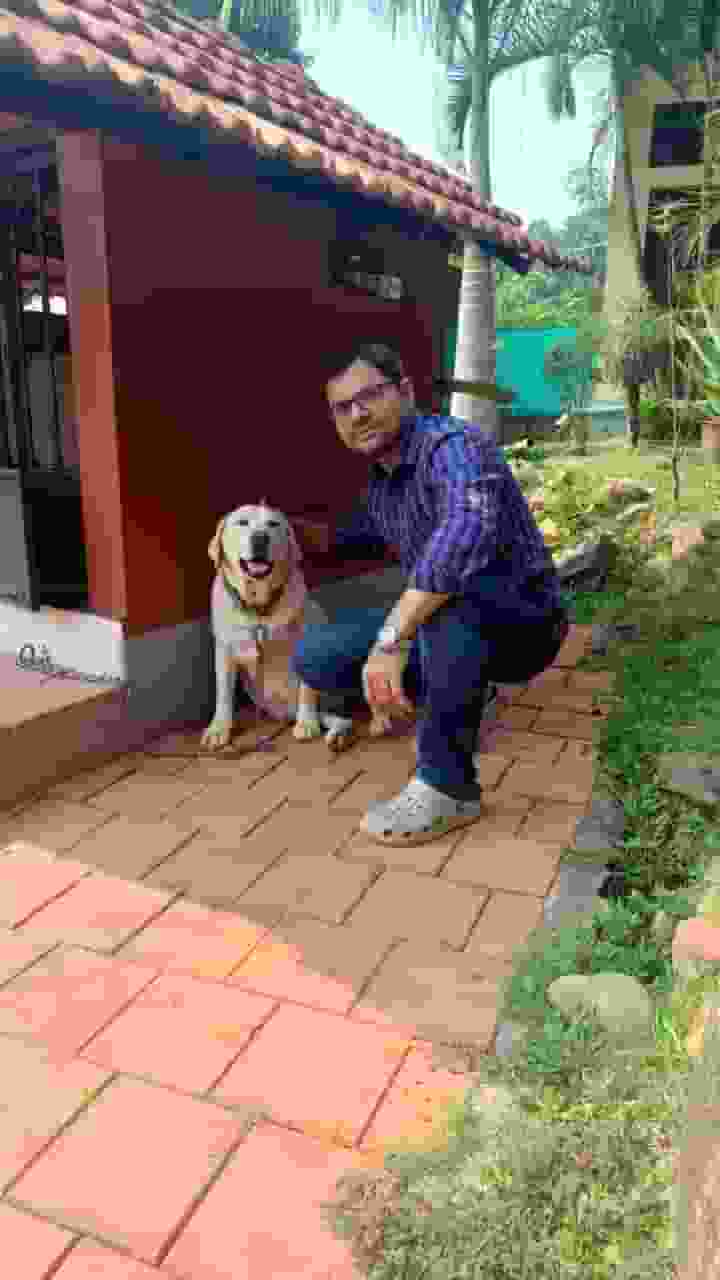 Sandeep-DC player image