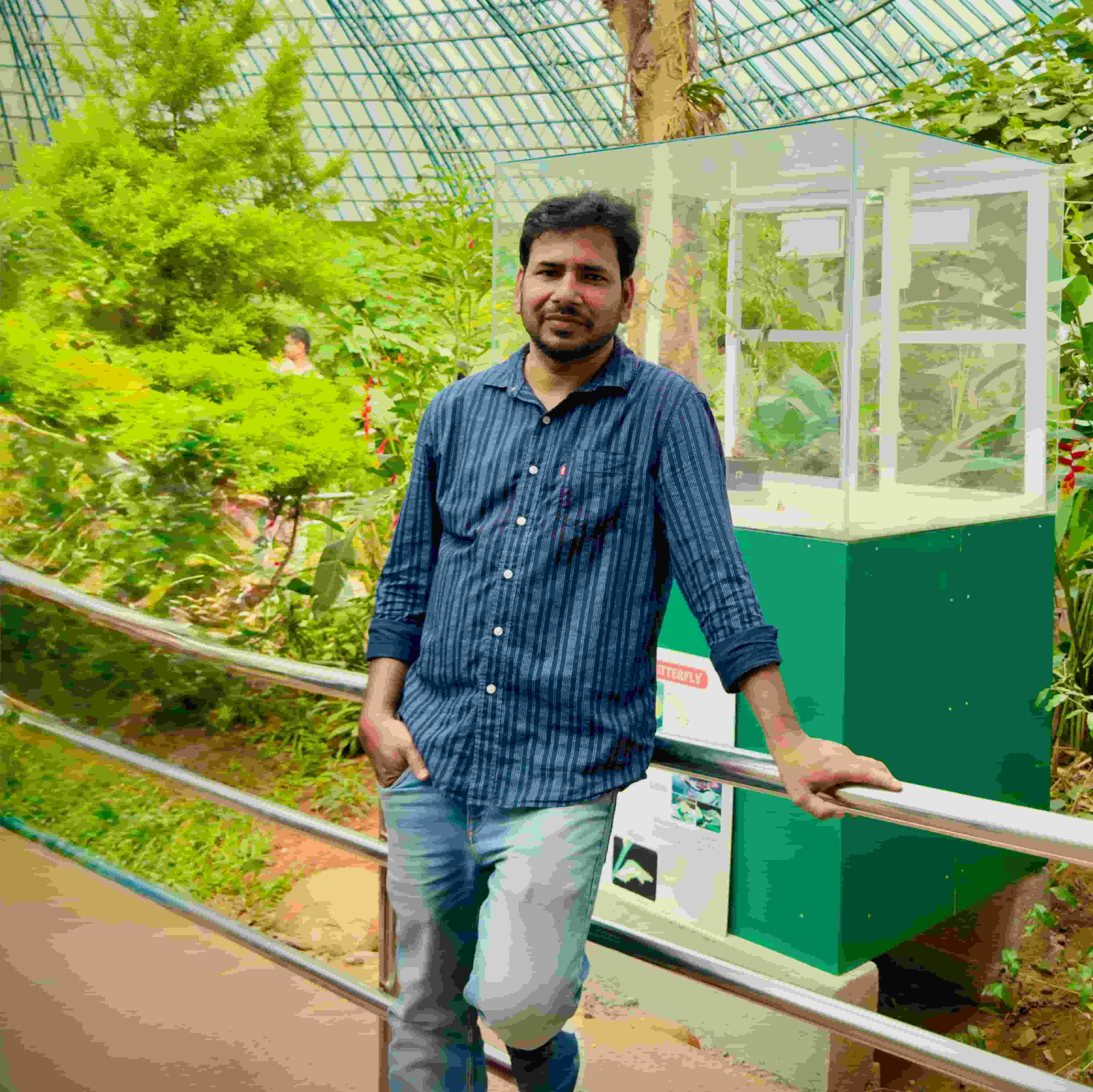 Dillip- player image