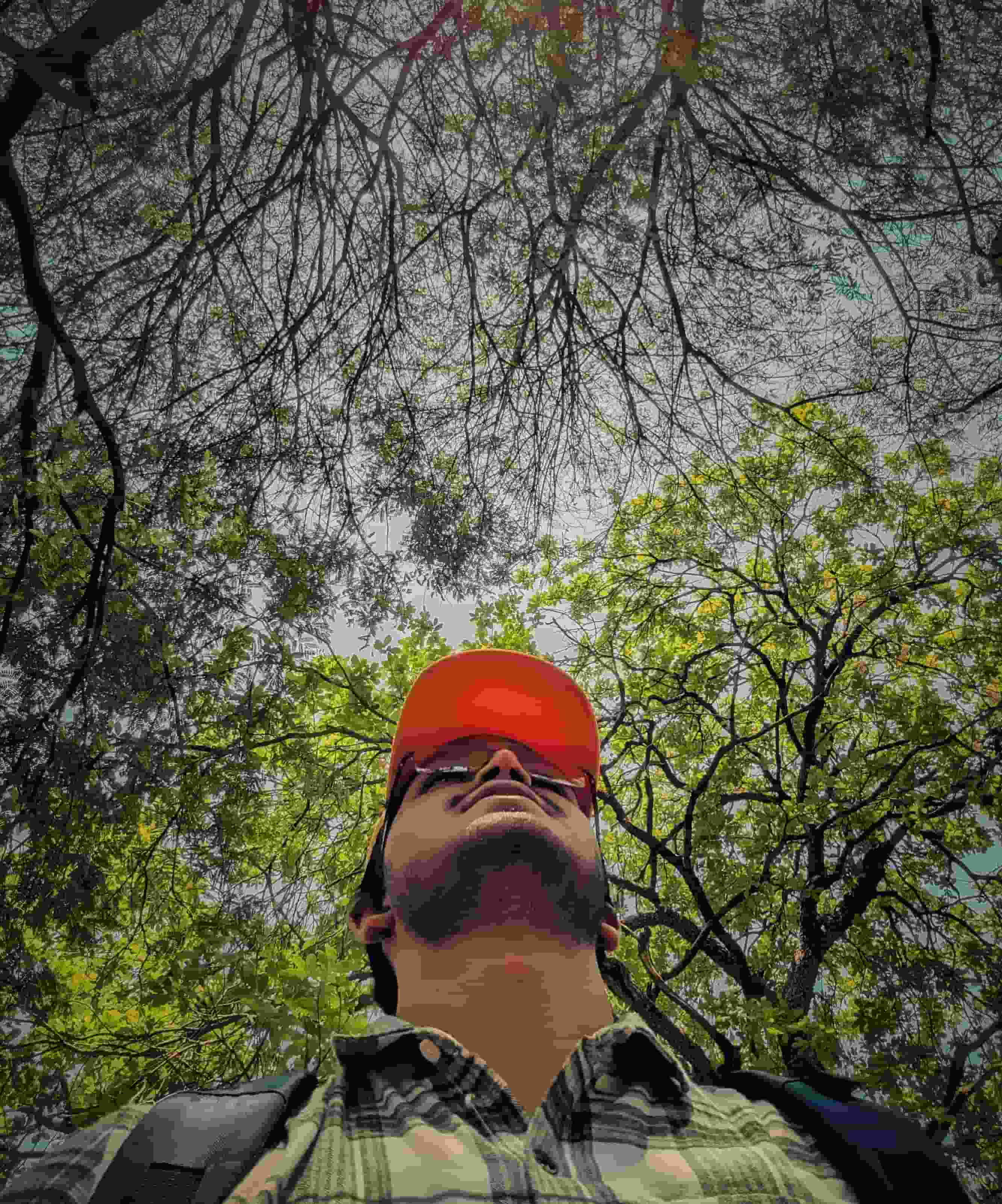 Dharmik- player image
