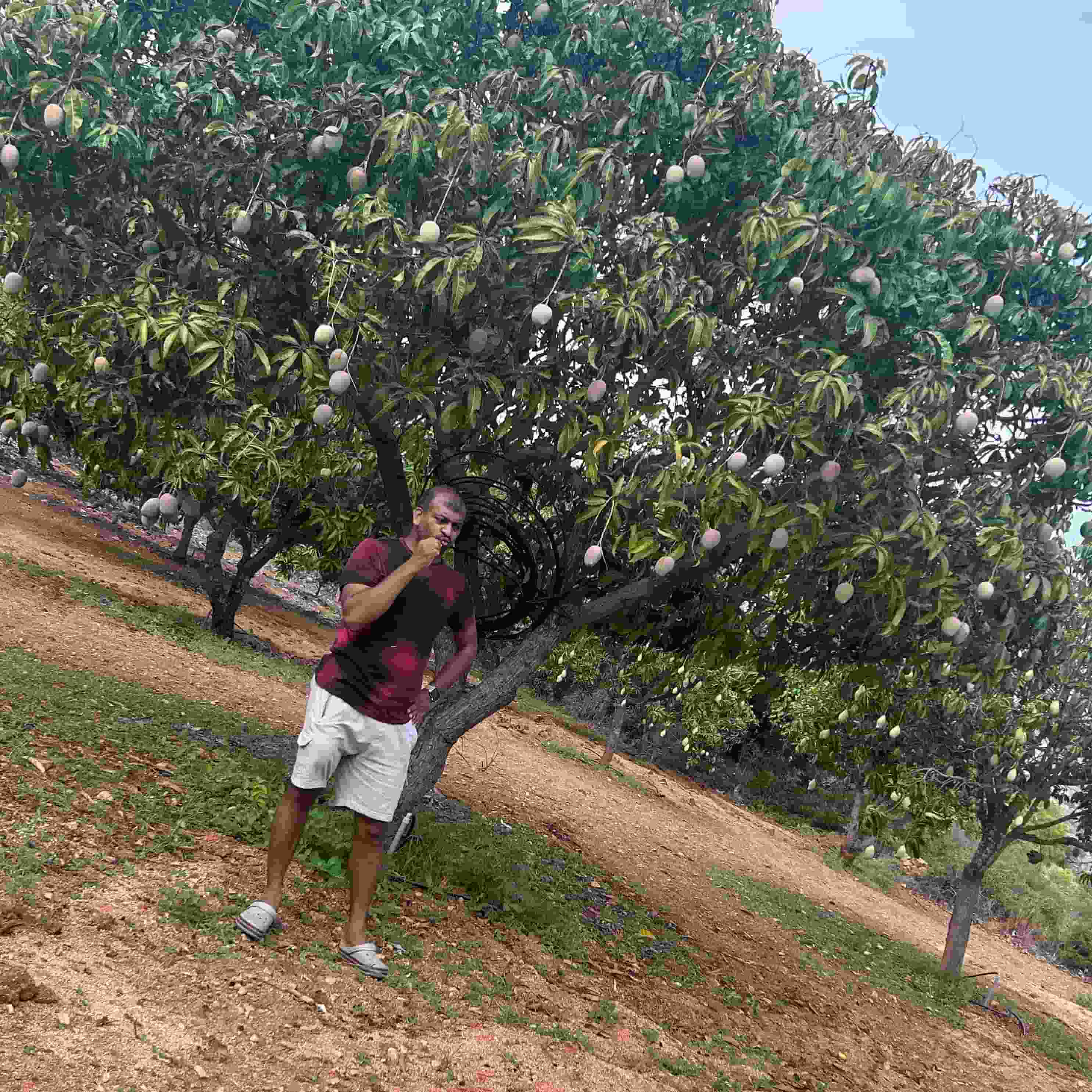Anilkumar -Reddy player image