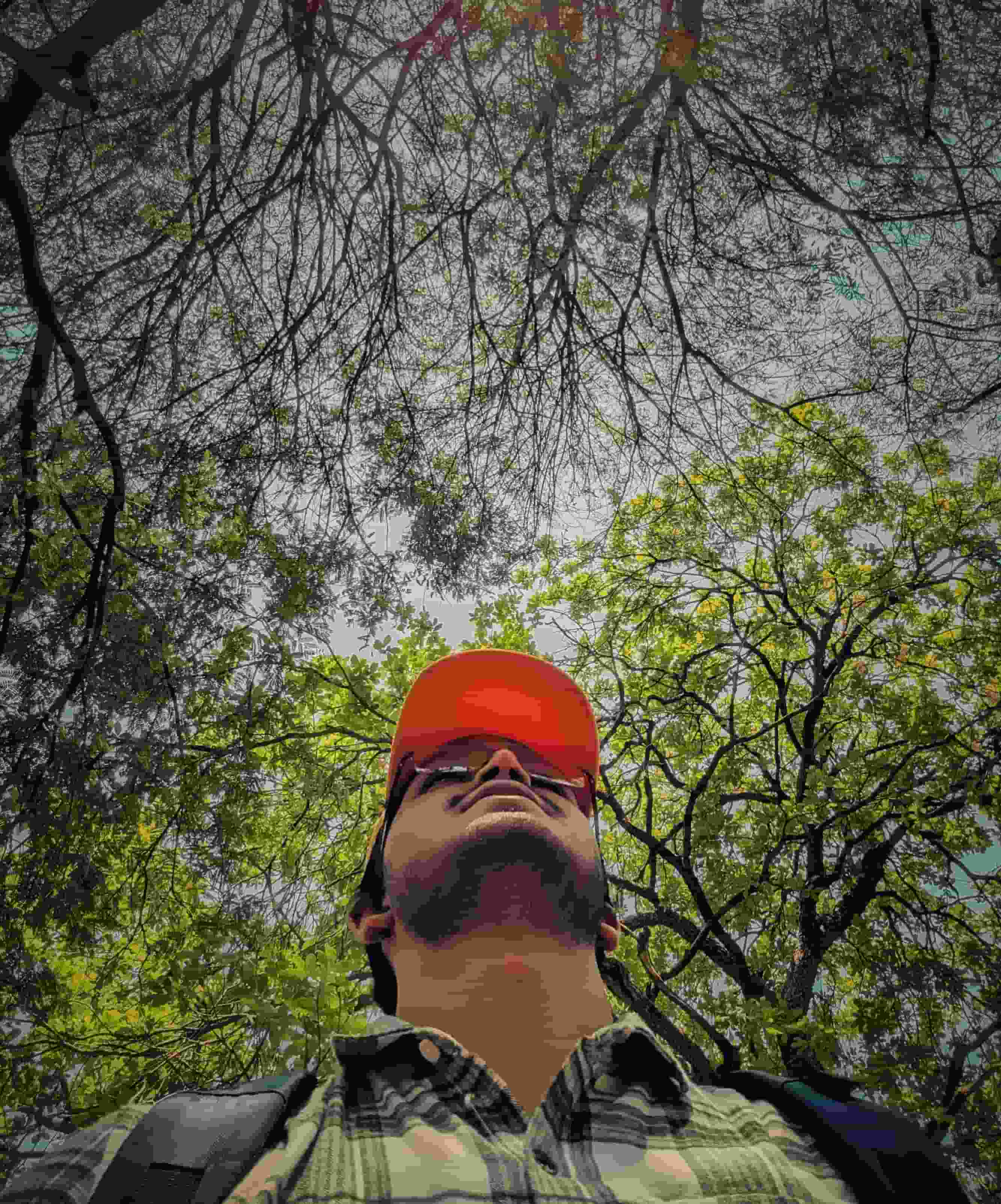 Dharmik- player image